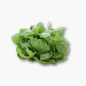 النعناع