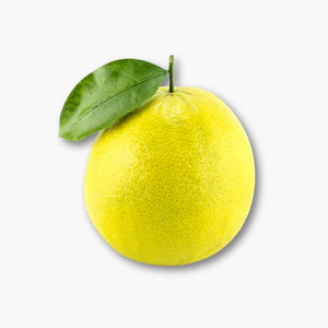 البرغموت