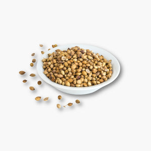 الكزبرة