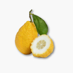 الأترج